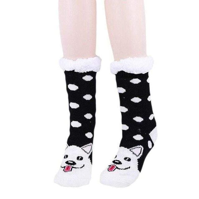 chaussette pilou chien